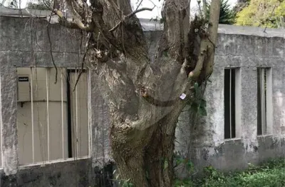Terreno à venda na Avenida Giovanni Gronchi, Jardim Sul, São Paulo