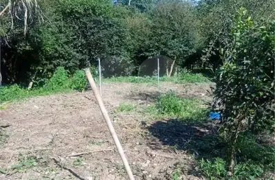 Terreno à venda na Rua Fructuoso Viana, Horto, São Paulo