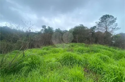 Terreno à venda ou para locação em estância são francisco - sp