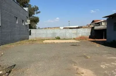 Terreno comercial para alugar no Real Parque, Campinas 