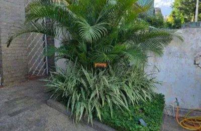 Casa para aluguel, 3 quartos, 2 vagas, Jardim Guanabara - CAMPINAS/SP