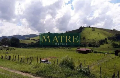 Terreno comercial à venda no Arvão da Roseta, Cambuí 