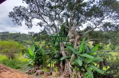 Chácara / sítio com 5 quartos à venda no Centro, Pedra Bela 