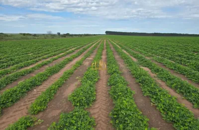 Vende-se uma fazenda com 870 hectares no município de primavera do leste -mt