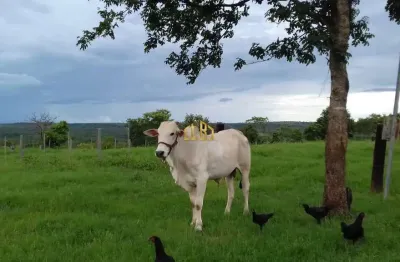 Fazenda à venda na Zona Rural, Centro, Guiratinga