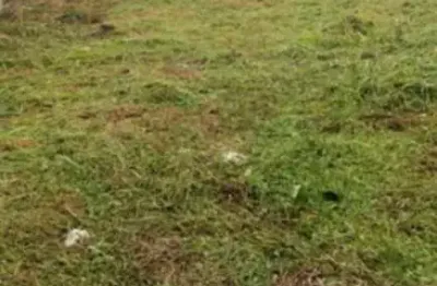 Terreno a venda em cajamar - ao lado da rodovia anhanguera.