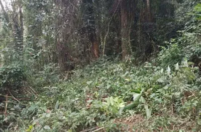 Chácara a venda recanto das maravilhas - araçariguama