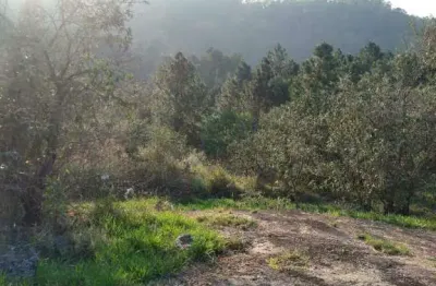 Terreno em condomínio fechado à venda na Estrada de Santo André, Sítio do Morro, Santana de Parnaíba