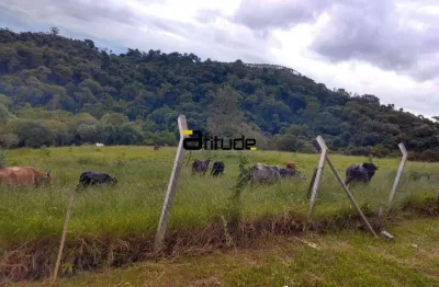Chácara / sítio com 5 quartos à venda na Estrada Do Paiol, Centro (São João Novo), São Roque