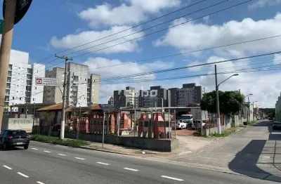 Terreno para alugar, 1500 m² - vila califórnia - são paulo/sp