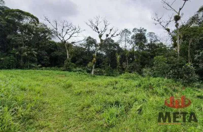 Terreno à venda, 251 m² por r$ 590.000,00 - vila nova - joinville/sc