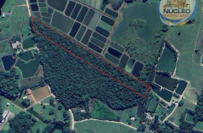 Terreno à venda, 21112 m² por r$ 690.000 - rio bonito (pirabeiraba) - joinville/sc