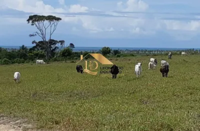 Fazenda à venda na mogiquiçaba, mogiquiçaba, santa cruz cabrália por r$ 4.000.000