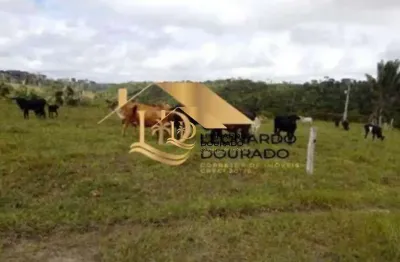 Fazenda à venda na cabrália, centro, santa cruz cabrália por r$ 1.000.000
