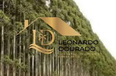 Fazenda com 1 sala à venda na belmonte, zona rural, belmonte, 64 m2 por r$ 1.000.000