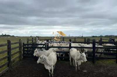Fazenda à venda na belmonte, zona rural, belmonte, 160 m2 por r$ 3.000.000