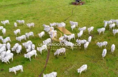 Fazenda à venda na belmonte, zona rural, belmonte, 110 m2 por r$ 1.400.000