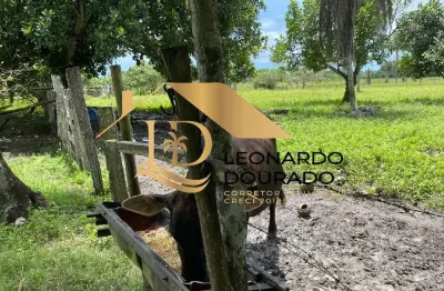 Fazenda com 1 sala à venda na purificação, coroa vermelha, santa cruz cabrália, 22 m2 por r$ 600.000