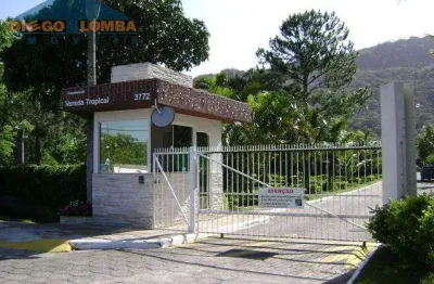 Terreno comercial à venda na Avenida Luiz Boiteux Piazza, 3772, Cachoeira do Bom Jesus, Florianópolis