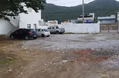 Terreno comercial à venda na Rod Armando C Bulos, 2.783, Vargem Grande, Florianópolis
