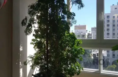 Apartamento cobertura à venda no bairro petrópolis com 350m² e 4 dormitórios/quartos.