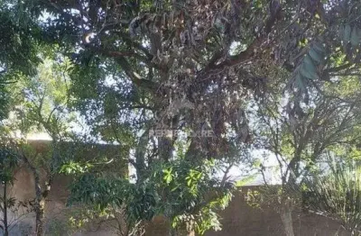 Terreno para venda no bairro menino deus com área disponível e 0 dormitórios/quartos