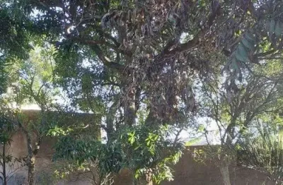 Terreno/lote à venda no bairro menino deus com 0 dormitórios/quartos disponível.