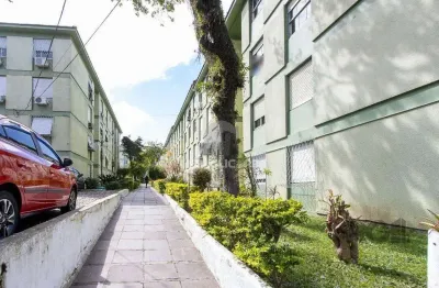 Apartamento à venda no bairro cristal com 50 m² e 3 dormitórios/quartos disponíveis.
