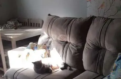 Apartamento à venda no bairro camaquã com 51 m² e 2 dormitórios/quartos disponíveis.