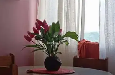 Apartamento à venda no bairro restinga com 38 m² e 2 dormitórios/quartos disponíveis.