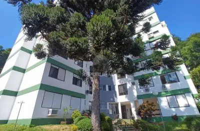 Apartamento à venda no bairro nonoai com 45 m² e 1 dormitório/quarto disponível.