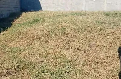 Terreno à venda na Rua Das Azaléias, Nossa Senhora da Paz, Balneário Piçarras