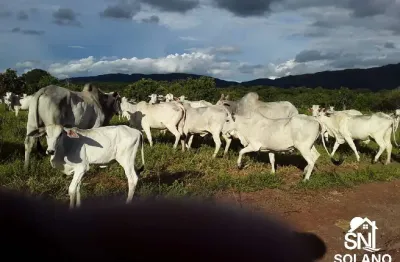 Fazenda com 2 salas à venda na Centro, 1346, Zona Rural, Barra do Bugres
