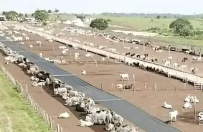 Fazenda com 2 salas à venda na Avenida dos Três Poderes, 156, Centro, Tomé-Açú