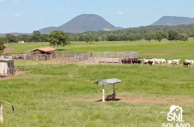 Fazenda com 2 salas à venda na Avenida Principal, SN, Centro, Nobres