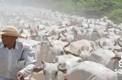 Espetacular fazenda bodoquena a venda com 45.000 / 49.000 hectares na região oeste de ms.