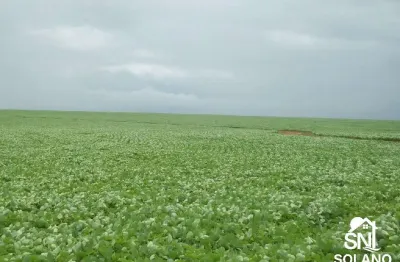Fazenda com 2 salas à venda na Av Principal, SN, Zona Rural, Santana do Araguaia