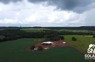 Fazenda com 2 salas à venda na Rua Paranatinga, 159, Centro, Primavera do Leste