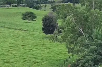 Fazenda 2.105,40 hectares (435 alqueires) a 220 km de goiânia é próximo a rio verde.