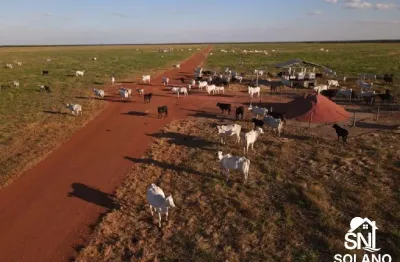 Fazenda 33 mil há na região de porto alegre do norte mt
