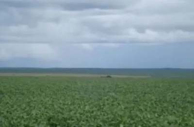 Fazenda à venda na Centro, SN, Zona Rural, Primavera do Leste