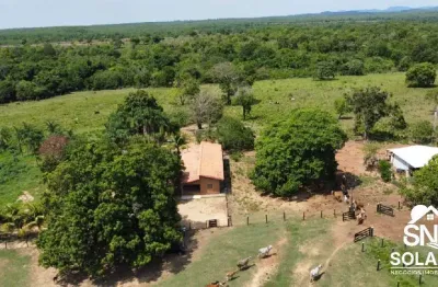 Fazenda dupla aptidão plantação e pecuária palmeiropolis - go
