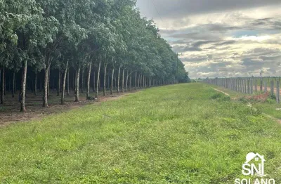 Fazenda com 2 salas à venda na Rua Dezenove de Novembro, SNN, Área Rural de Araguaína, Araguaína
