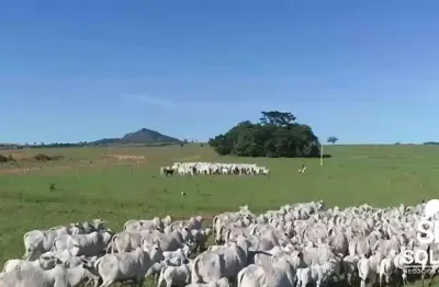 Fazenda à venda na Av Principal, SN, Zona Rural, Caiapônia
