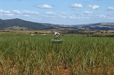 Fazenda à venda na Rua Padre Angelo Maria Monreal, 2354, Centro, Goianésia