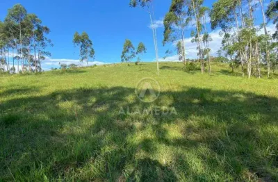 Terreno à venda, 85000 m² por r$ 5.400.000,00 - gasparinho - gaspar/sc
