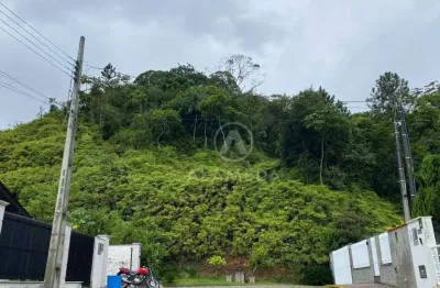 Terreno à venda, 70000 m² por r$ 1.500.000,00 - gaspar grande - gaspar/sc