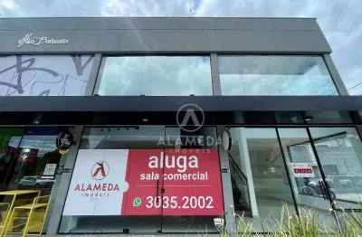 Sala para alugar, 47 m² por r$ 5.000,01/mês - itoupava seca - blumenau/sc