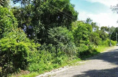 Terreno à venda, 1387 m² por r$ 250.000,00 - garcia - blumenau/sc