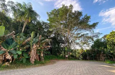 Terreno à venda, 553 m² por r$ 330.000,01 - fortaleza - blumenau/sc